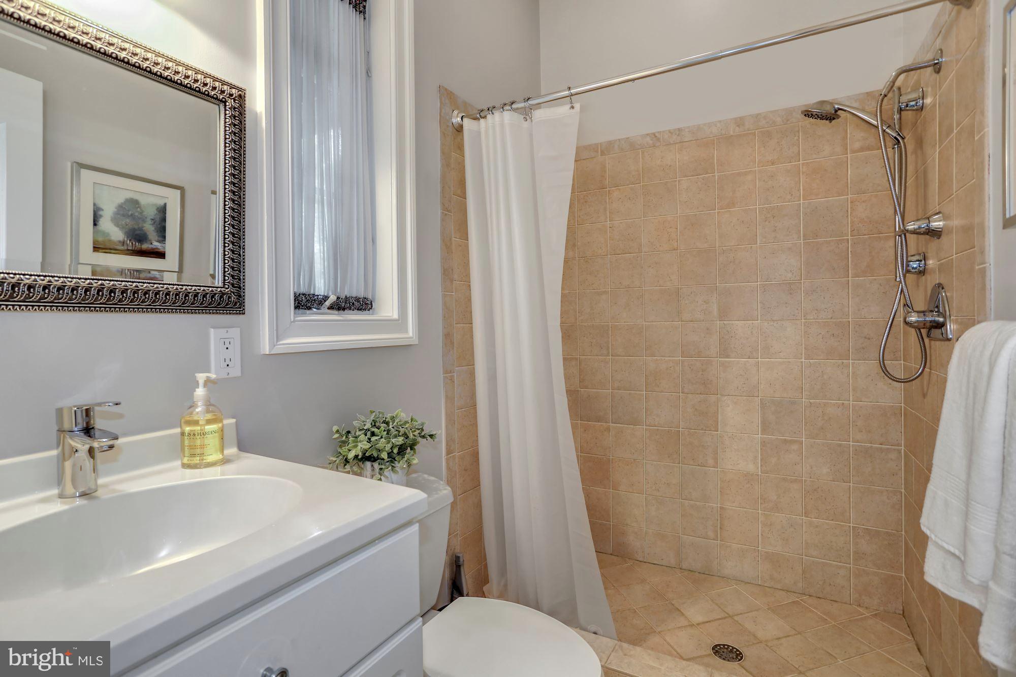 337 Springvale Road Great Falls, VA 22066 - Photo 51 of 120 a bathroom with a sink a toilet and shower