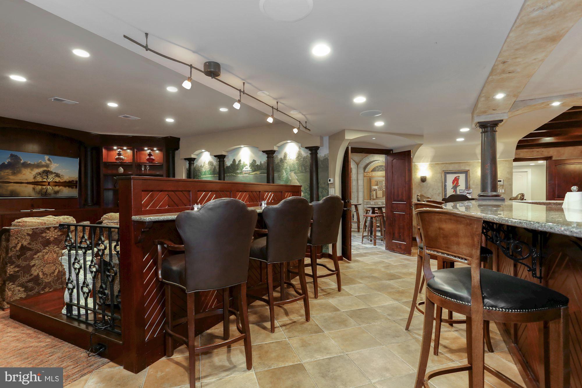 337 Springvale Road Great Falls, VA 22066 - Photo 64 of 120 Entertainers dream