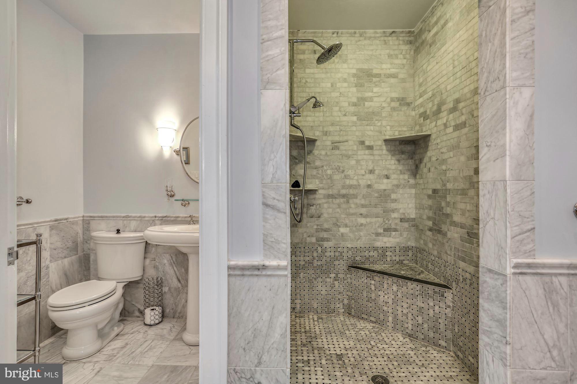 337 Springvale Road Great Falls, VA 22066 - Photo 71 of 120 a bathroom with a toilet and a shower