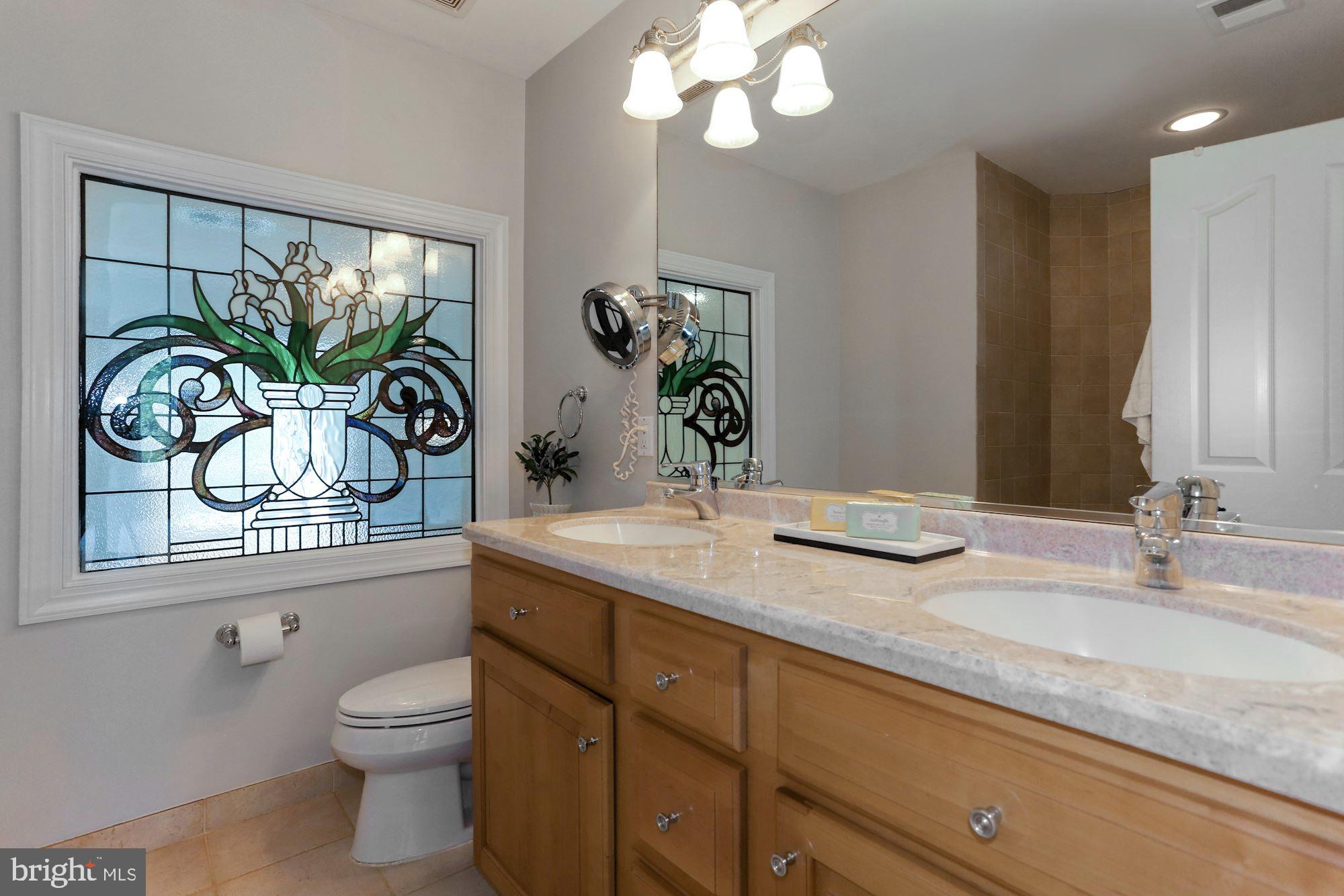 337 Springvale Road Great Falls, VA 22066 - Photo 77 of 120 a bathroom with a granite countertop sink a toilet and a mirror