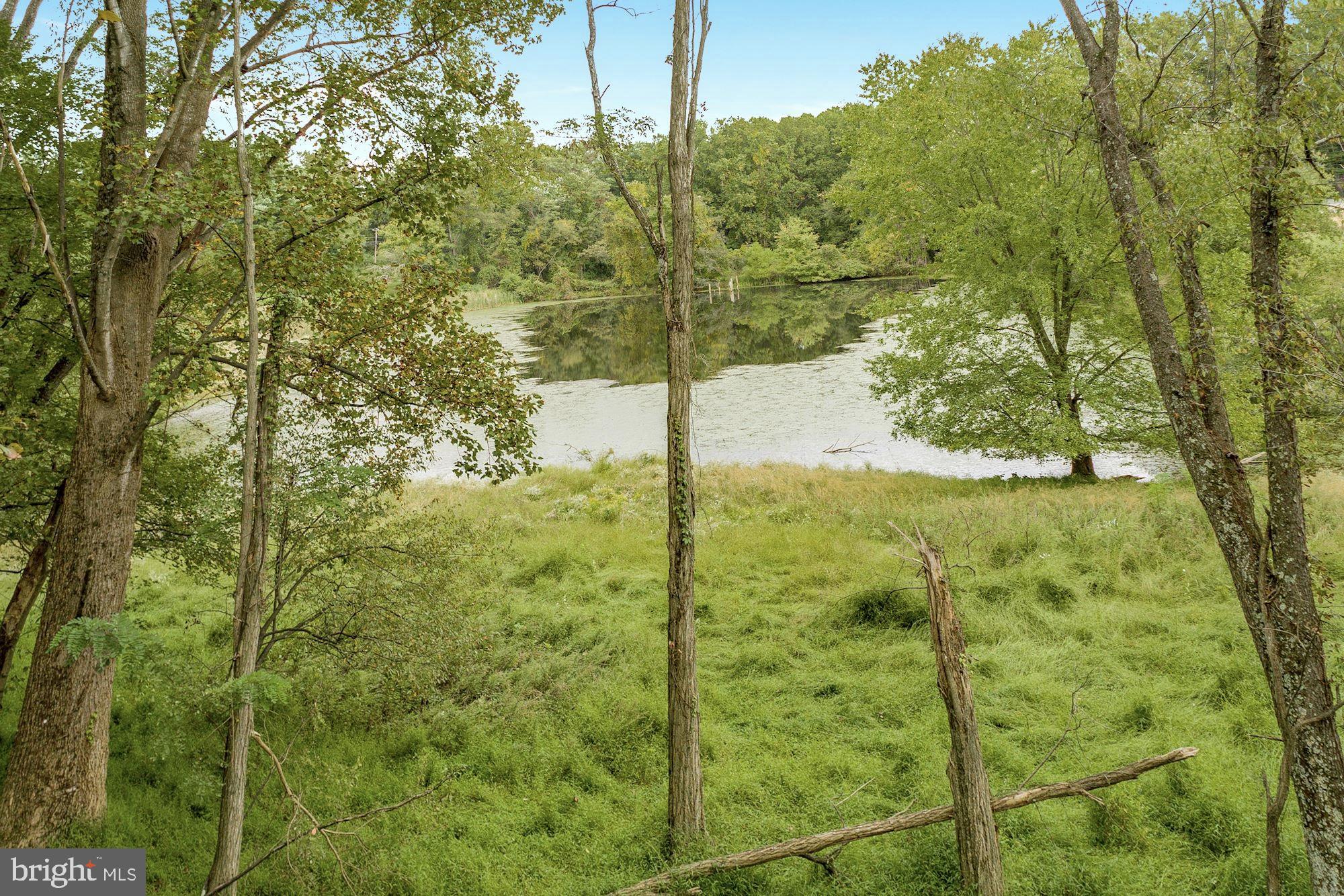337 Springvale Road Great Falls, VA 22066 - Photo 98 of 120 Lake views