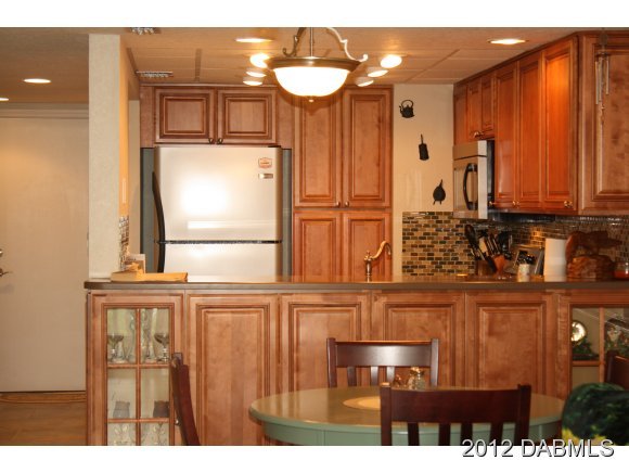 4590 South Atlantic Avenue Ponce Inlet, FL 32127 - Photo 3 of 20 Additional Photo