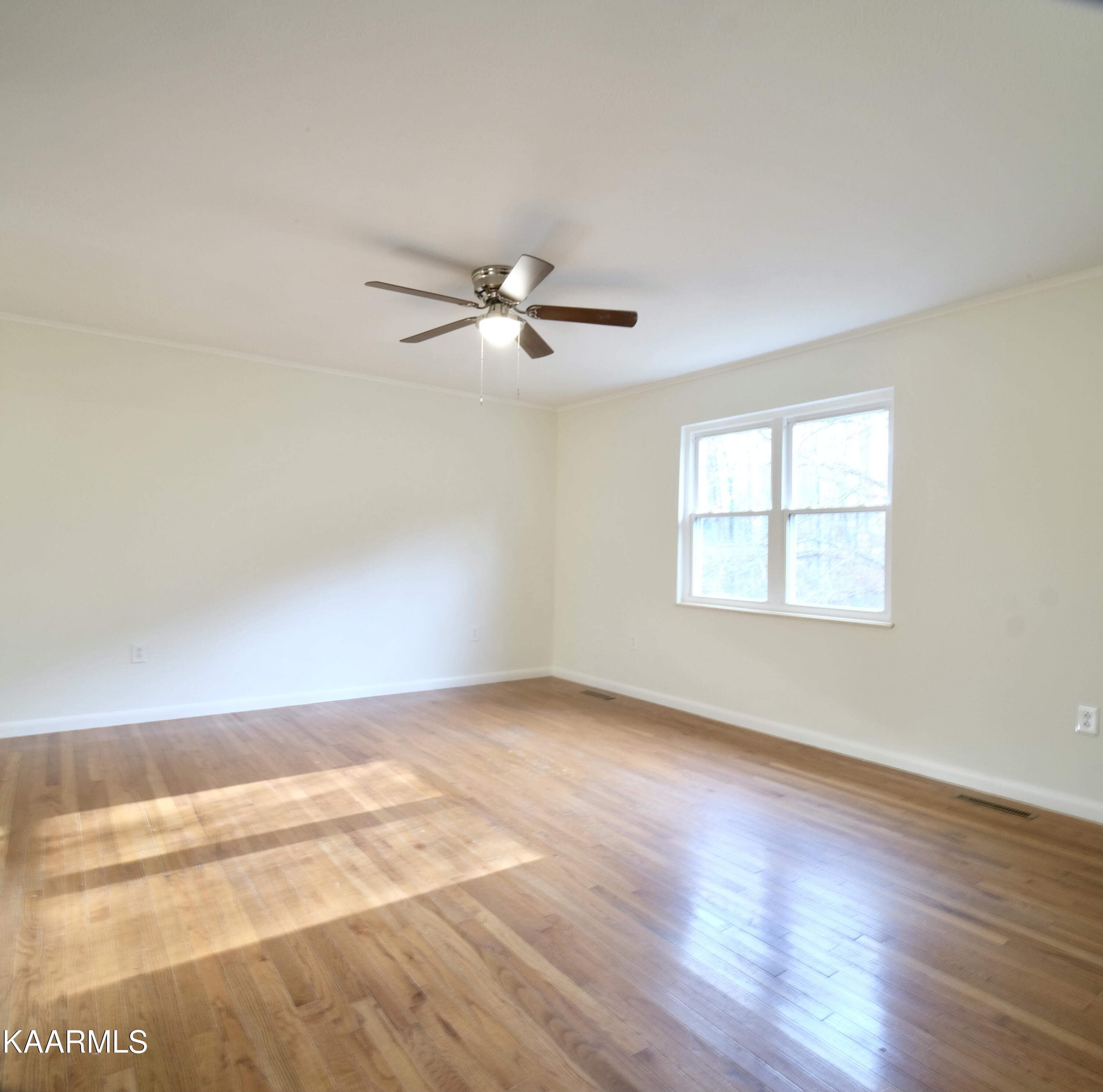 667 Hassler Mill Road Harriman, TN 37748 - Photo 11 of 19 DSCF9192