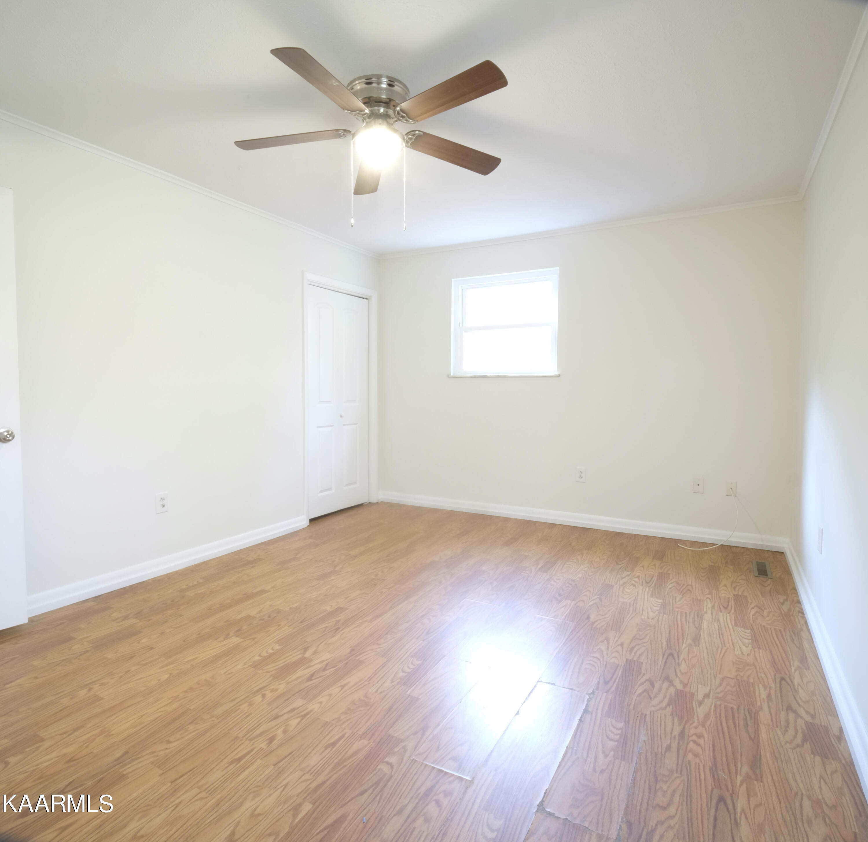 667 Hassler Mill Road Harriman, TN 37748 - Photo 9 of 19 DSCF9177