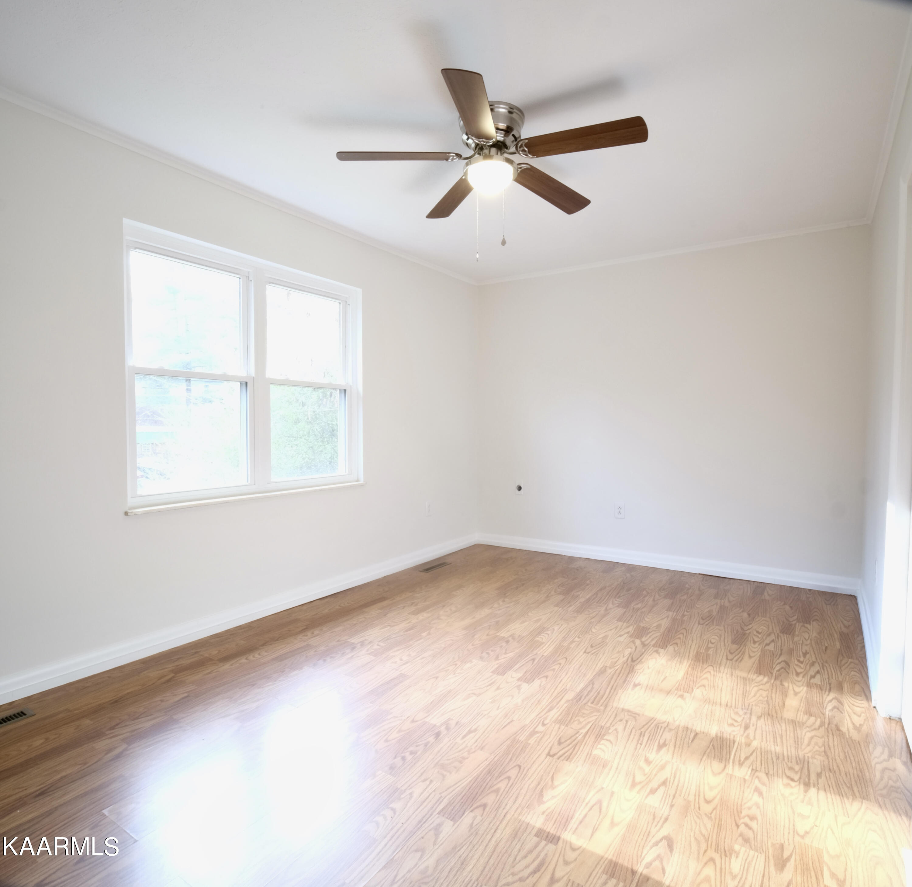 667 Hassler Mill Road Harriman, TN 37748 - Photo 10 of 19 DSCF9186