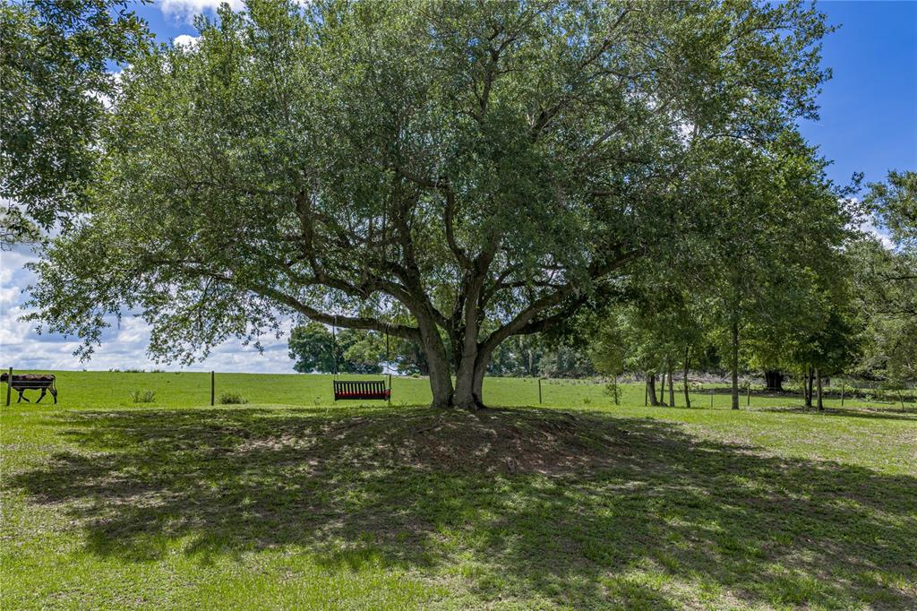 37624 Sky Ridge Circle Dade City, FL 33525 - Photo 80 of 83