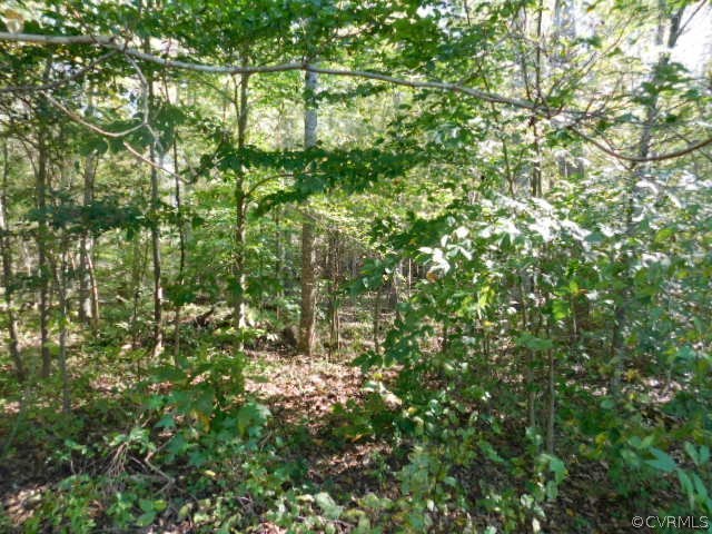 4463 Broadstreet Road Gum Spring, VA 23065 - Photo 16 of 16