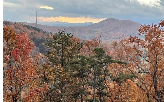 24 Wolf Mountain Road Murphy, NC 28906 - Photo 1 of 4 a view of a dry yard with mountains in the background