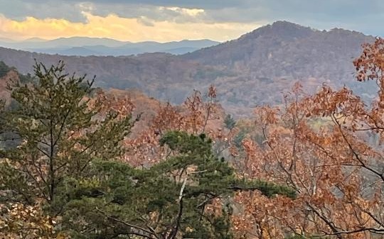 24 Wolf Mountain Road Murphy, NC 28906 - Photo 2 of 4 a view of mountains and valleys