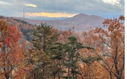 24 Wolf Mountain Road Murphy, NC 28906 - Photo 3 of 4 a view of a dry yard with mountains in the background