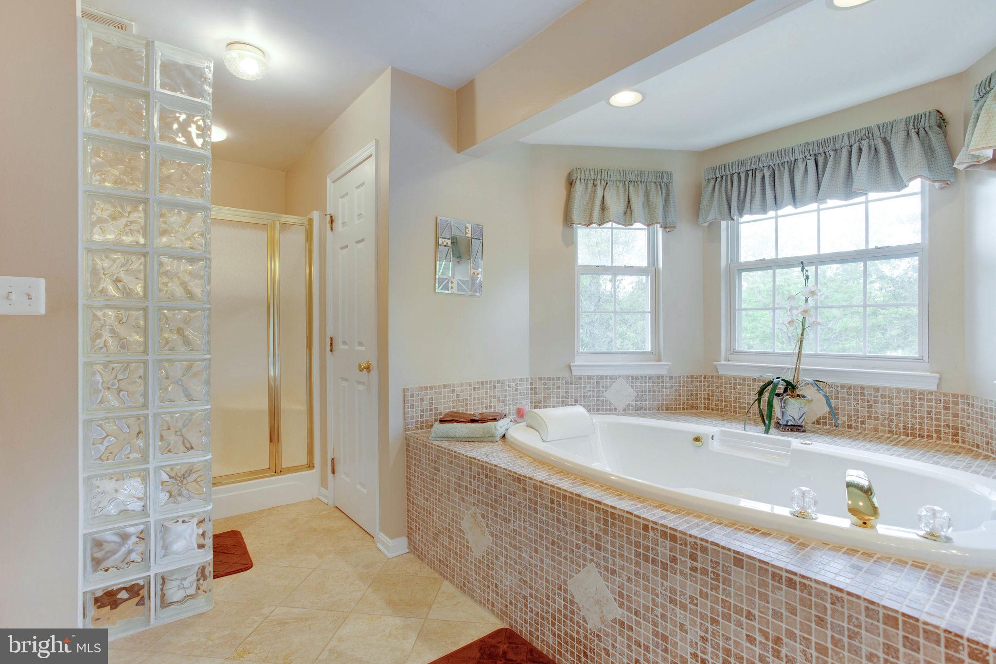 3931 Germantown Road Edgewater, MD 21037 - Photo 29 of 42 Master Bath