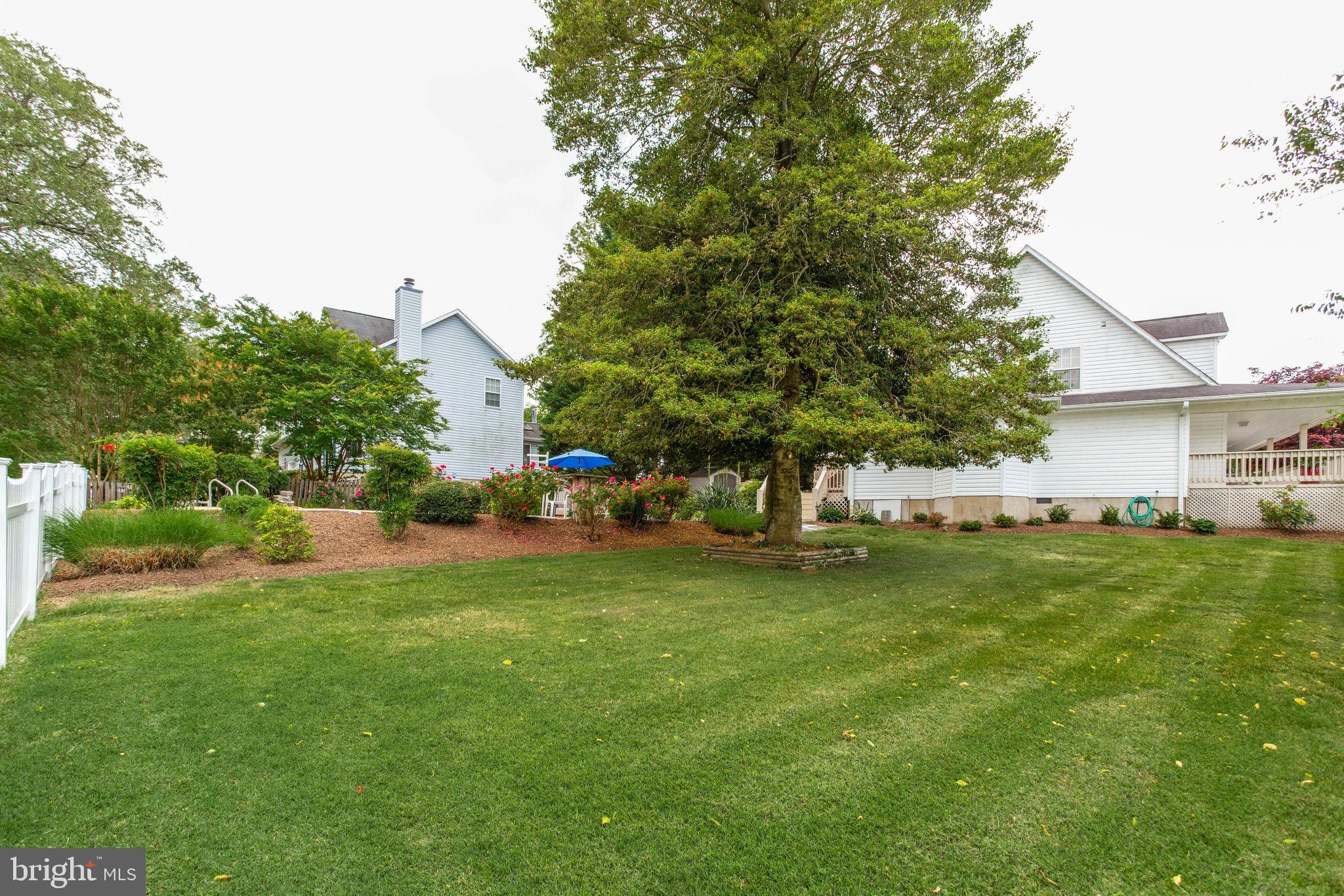 3931 Germantown Road Edgewater, MD 21037 - Photo 42 of 42 Yard
