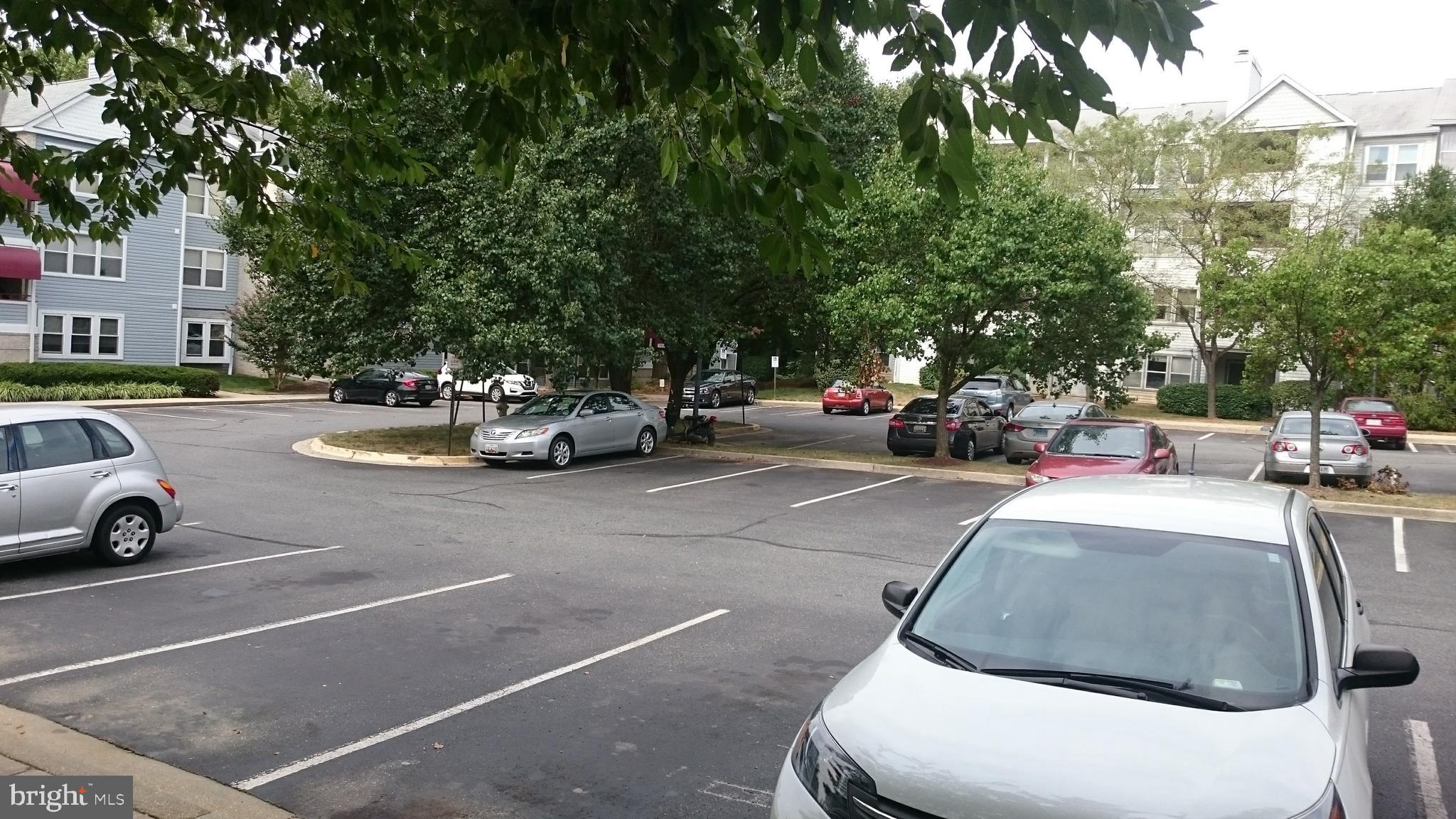 13611 Sir Thomas Way, Unit 1B32 Silver Spring, MD 20904 - Photo 39 of 39