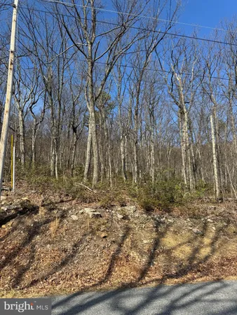 a view of a hallway with a green space