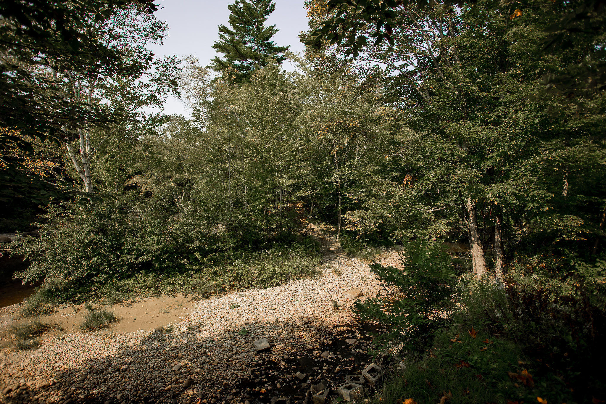 1922 Roxbury Road Roxbury, ME 04275 - Photo 12 of 45 AF6A4857