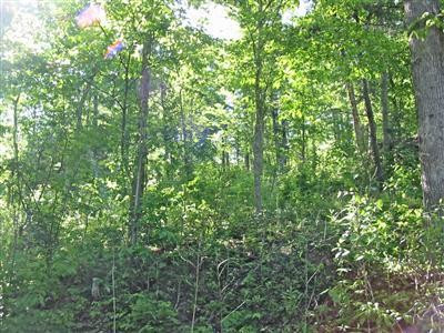 2 Straight Creek Road Campton, KY 41301 - Photo 2 of 6 Photo 2