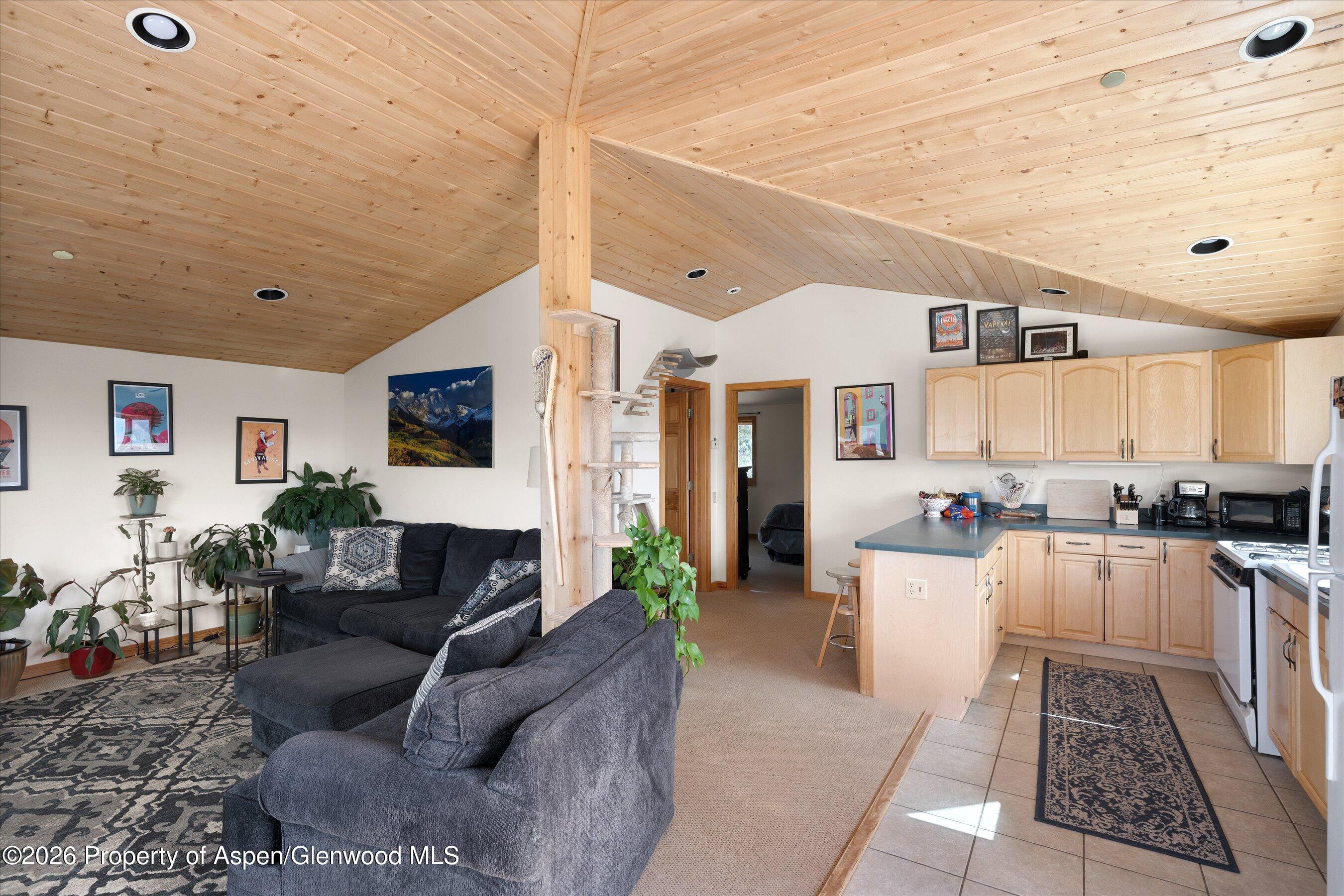 115 Rural Mountain Road Snowmass, CO 81654 - Photo 27 of 37 ApartmentLivingKitchen