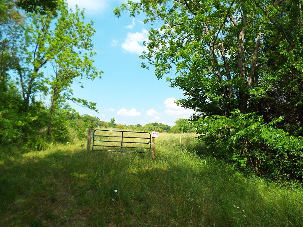 2598 South Wesley Chapel Road Greeneville, TN 37745 - Photo 8 of 17