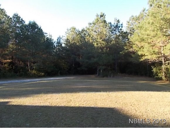 455 Rance Buck Road Vanceboro, NC 28586 - Photo 9 of 24 Additional Photo