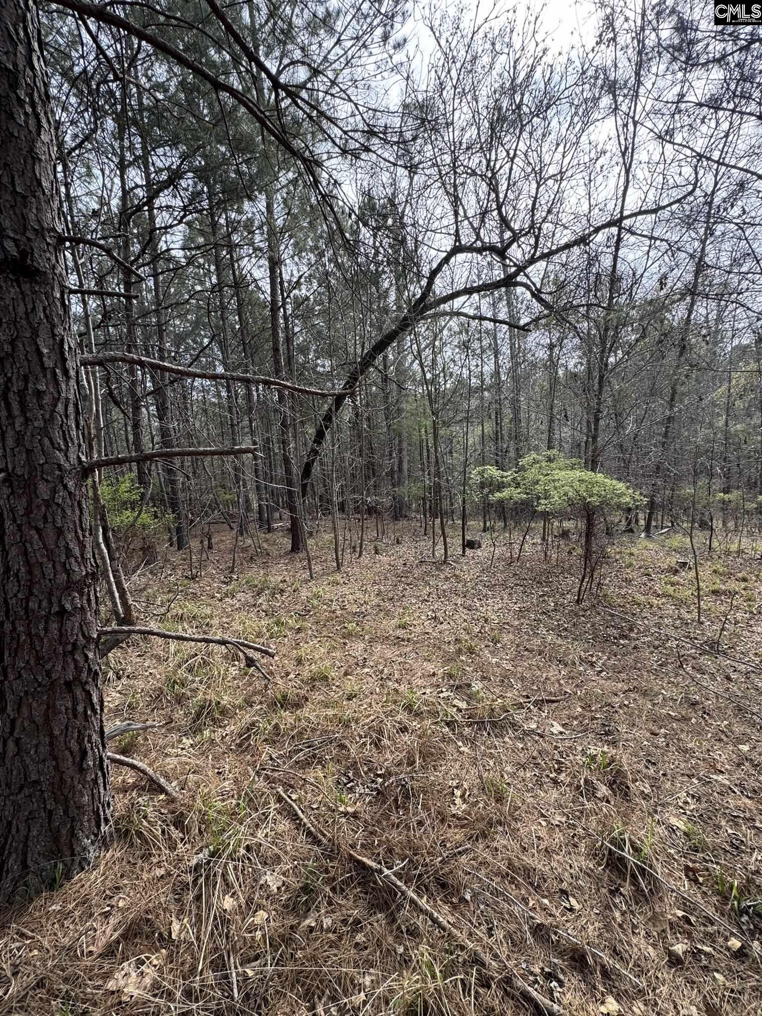 359 Holly Point Road Prosperity, SC 29127 - Photo 5 of 13