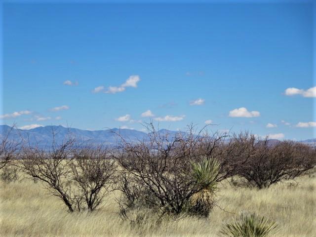 2.18-ac North Desert Road, Unit 1&2 Pearce, AZ 85625 - Photo 14 of 17