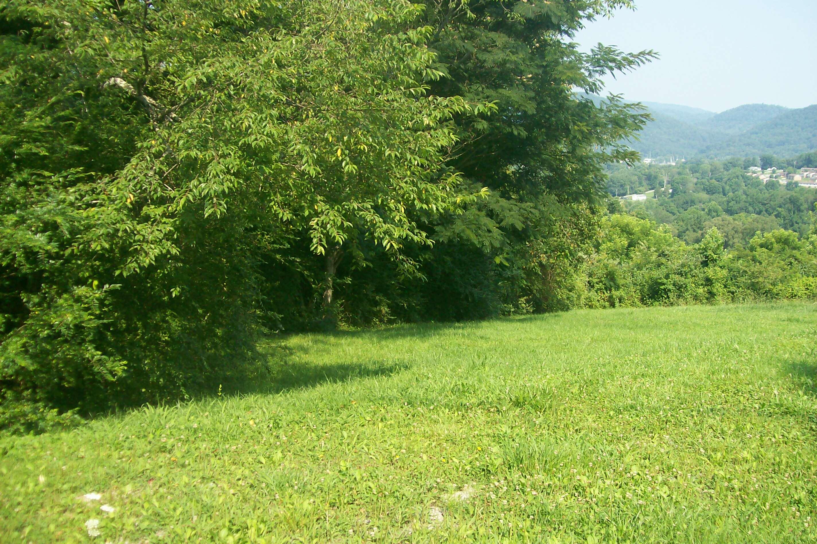 Blue Springs Road La Follette, TN 37766 - Photo 10 of 16 101_6748