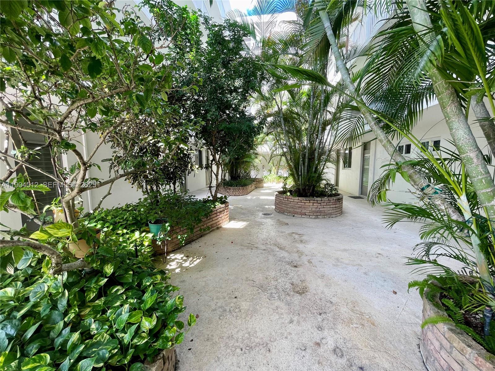 1670 Bay Road, Unit 2B Miami Beach, FL 33139 - Photo 13 of 15 a view of a road with plants and large trees