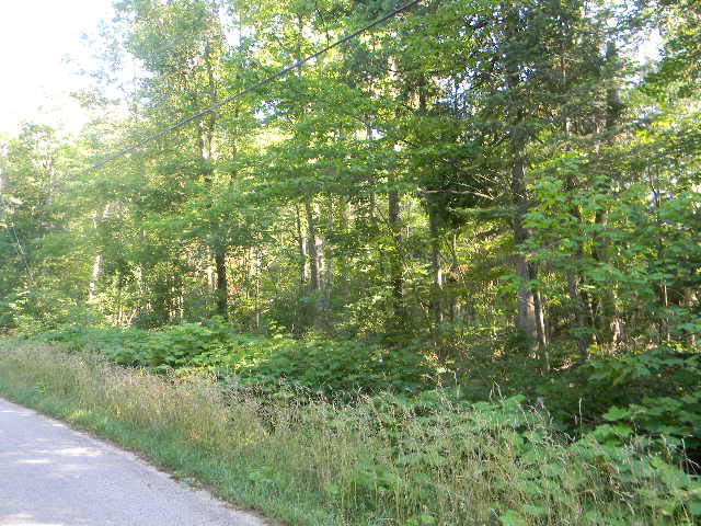 Northern Door Road Ellison Bay, WI 54210 - Photo 1 of 1