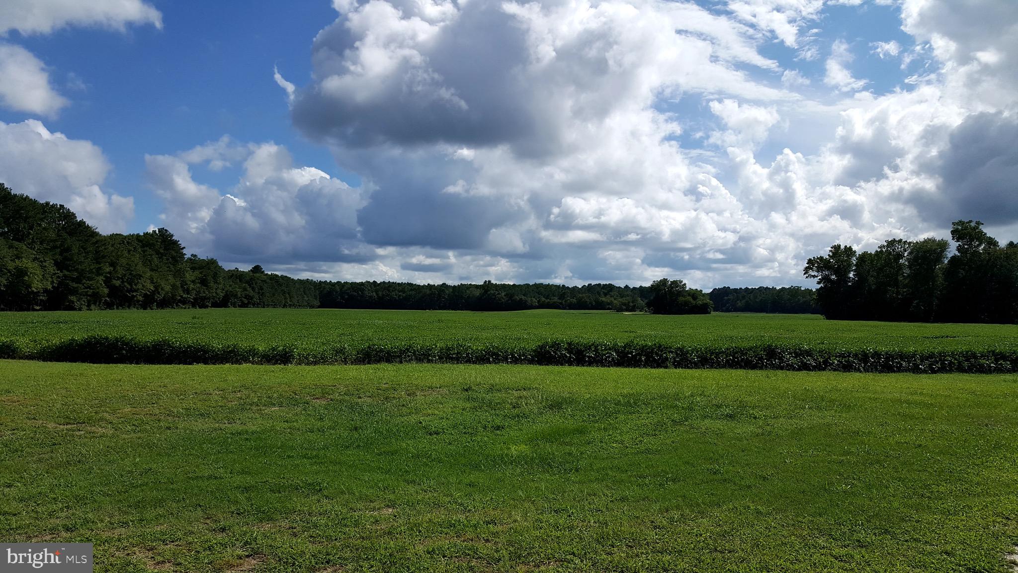 View from Rear of home looking southwesterly