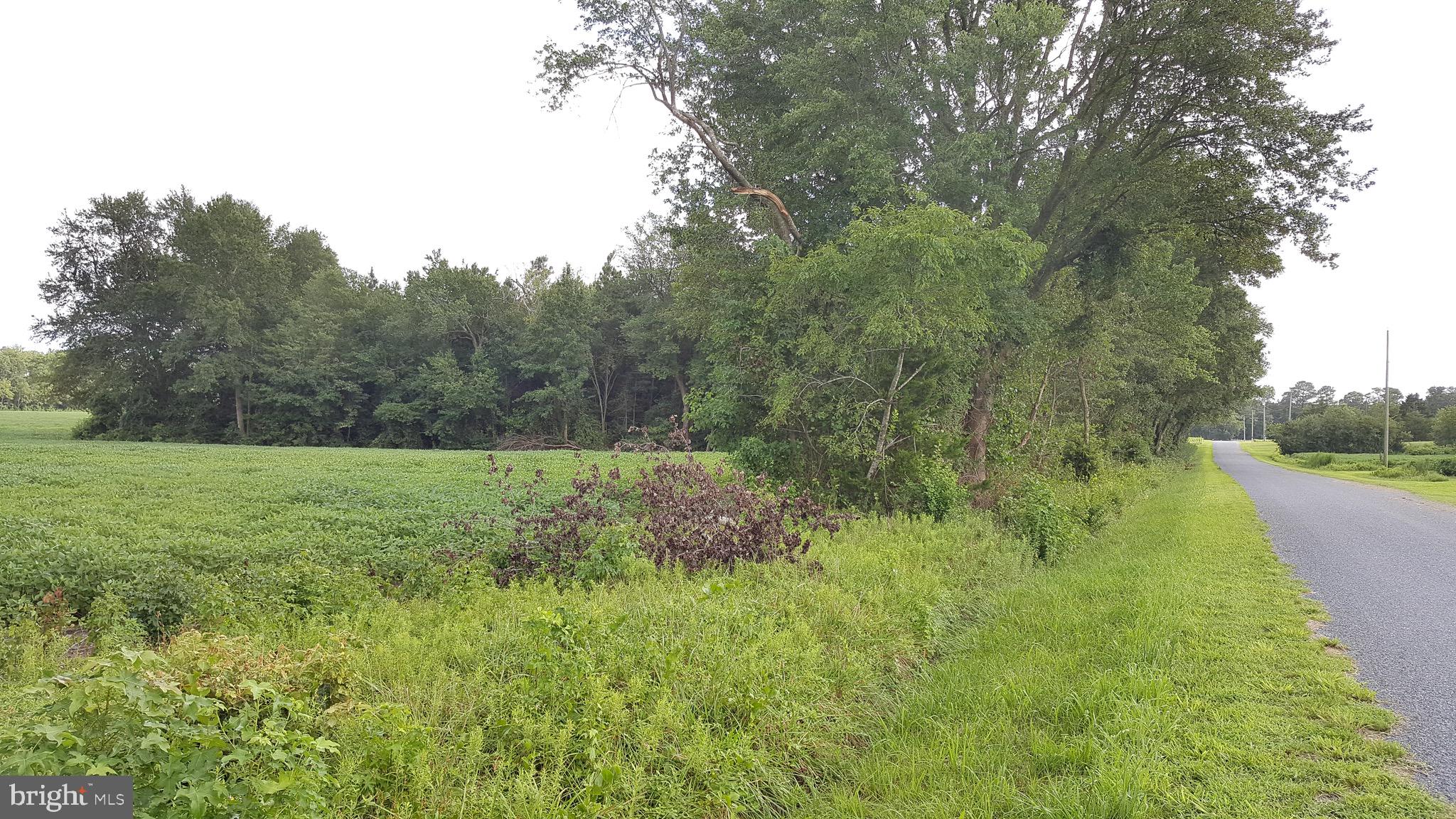 6892 Morris Road Pittsville, MD 21850 - Photo 17 of 17