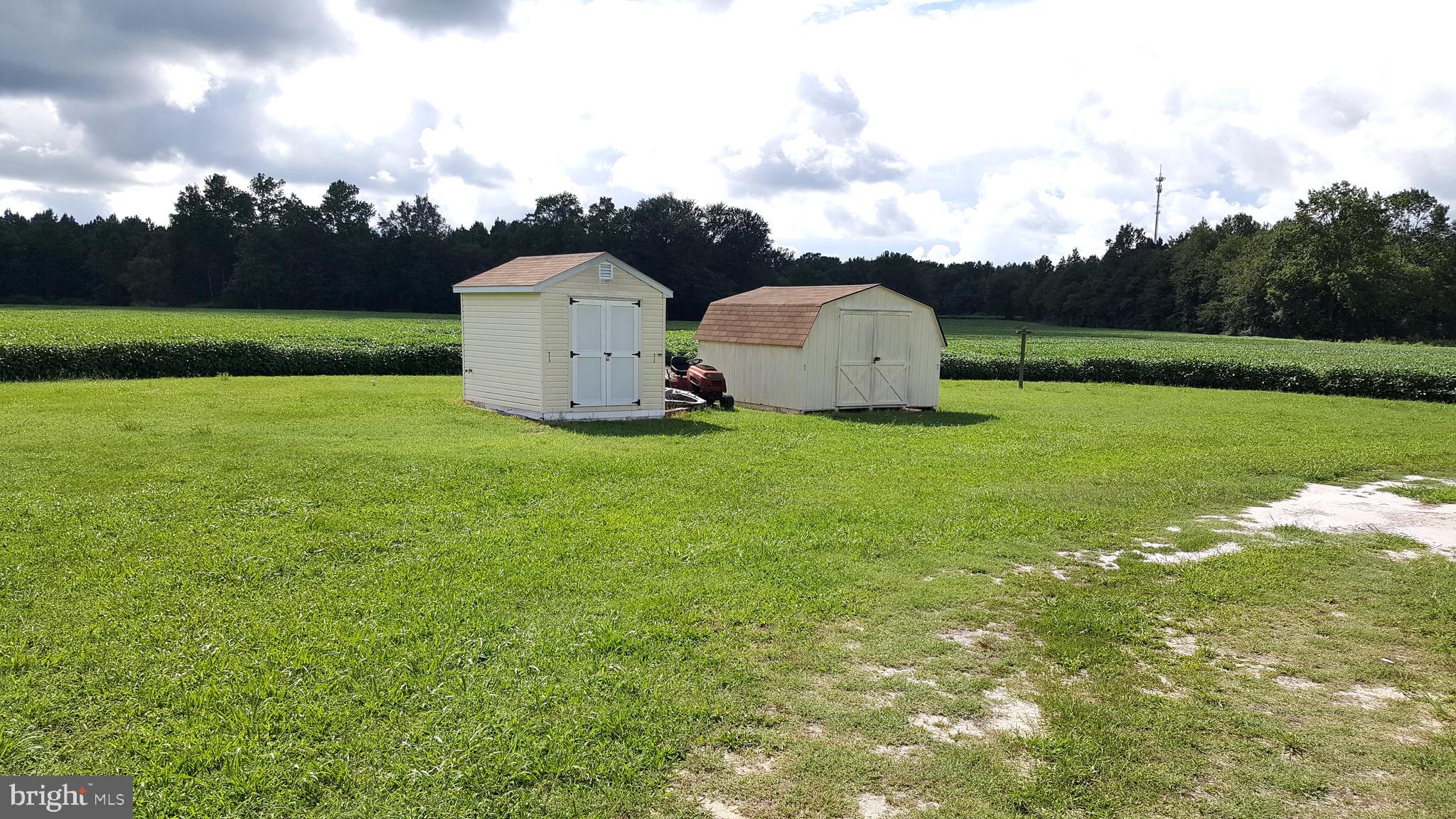 6892 Morris Road Pittsville, MD 21850 - Photo 10 of 17 Storage sheds