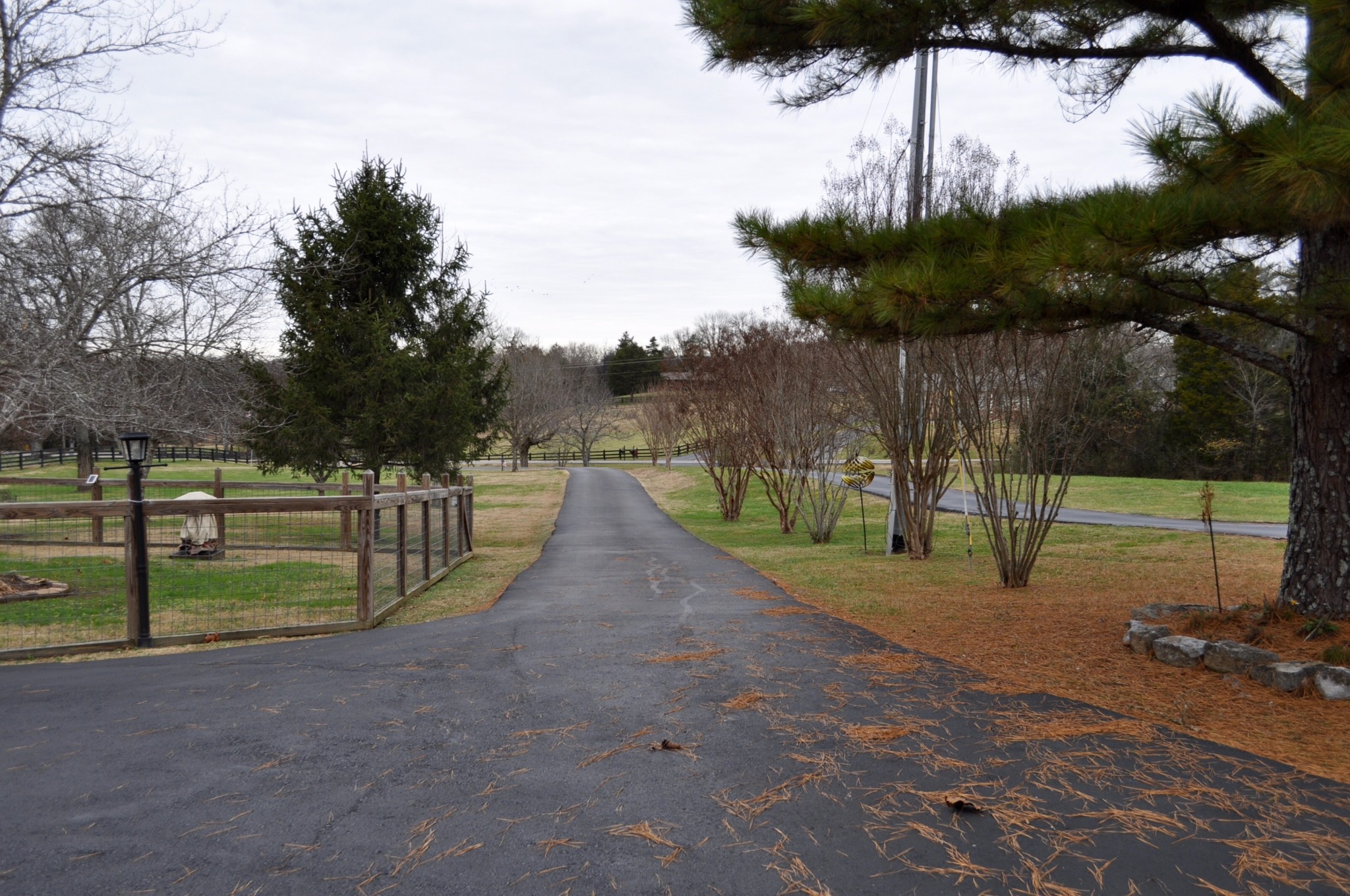 37 Liberty Road Fayetteville, TN 37334 - Photo 4 of 51 Gallery Image 4