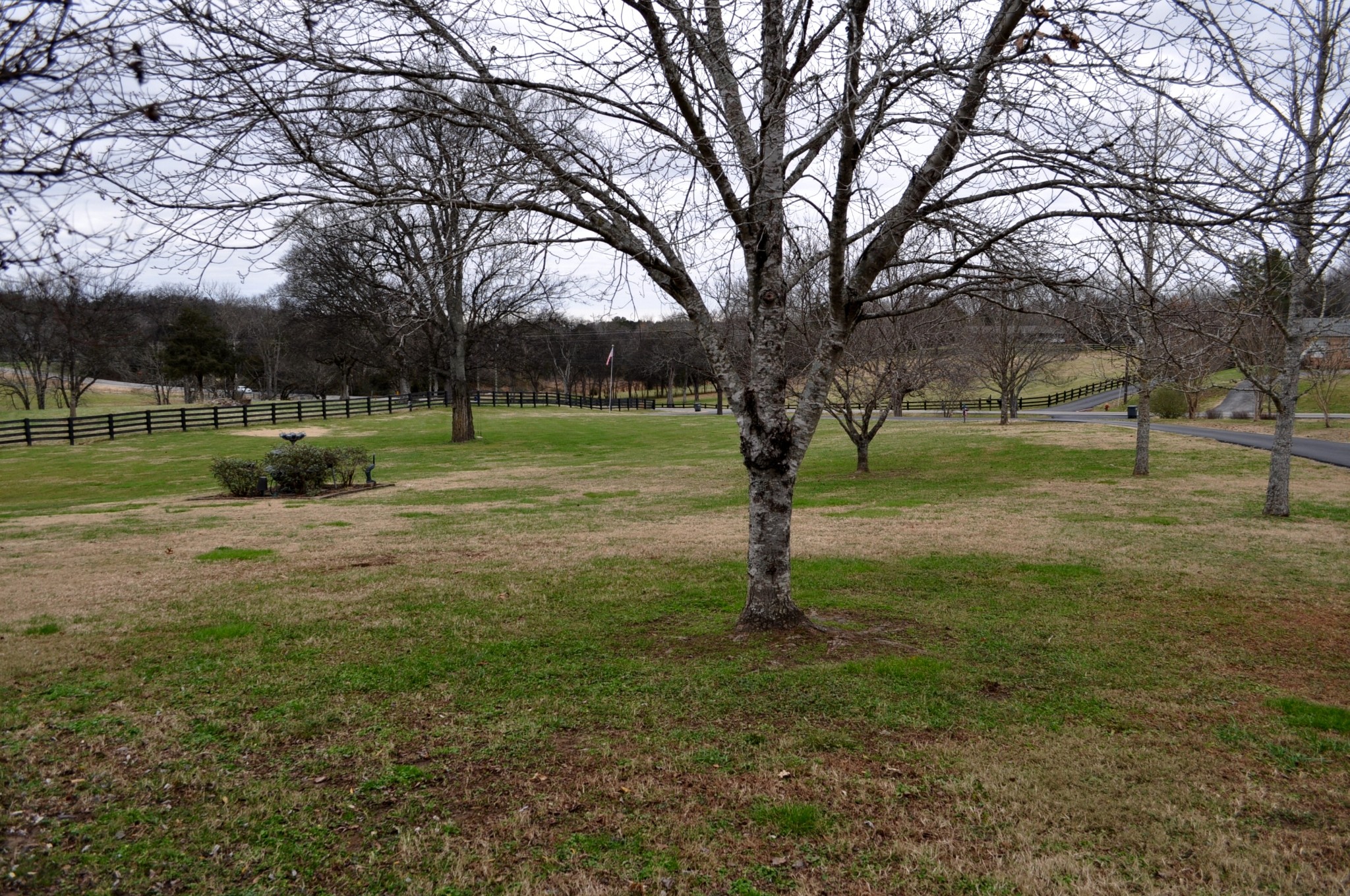 37 Liberty Road Fayetteville, TN 37334 - Photo 49 of 51 Gallery Image 49
