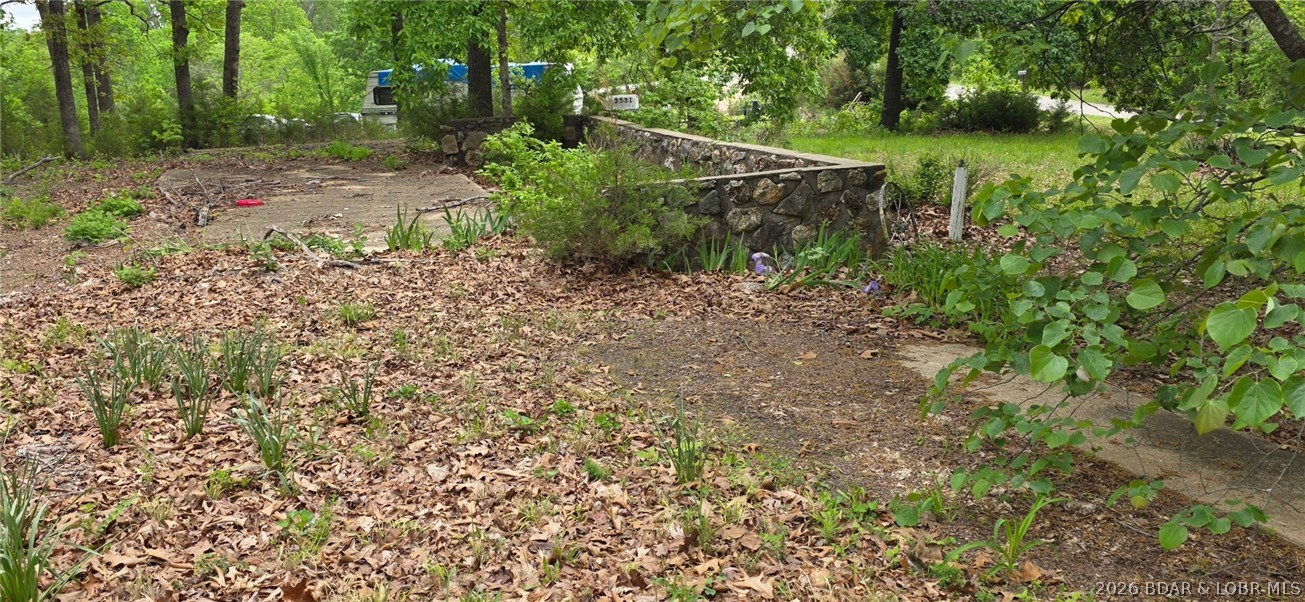 3509 Doc Ridgeway Road Roach, MO 65787 - Photo 6 of 13