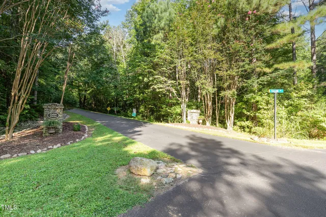 a view of a yard with plants and large trees