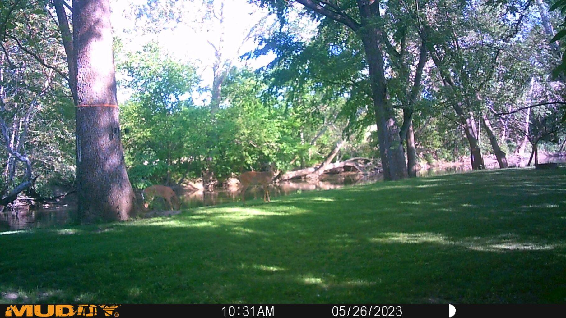 0 Fetters Road Bradford, OH 45308 - Photo 11 of 56
