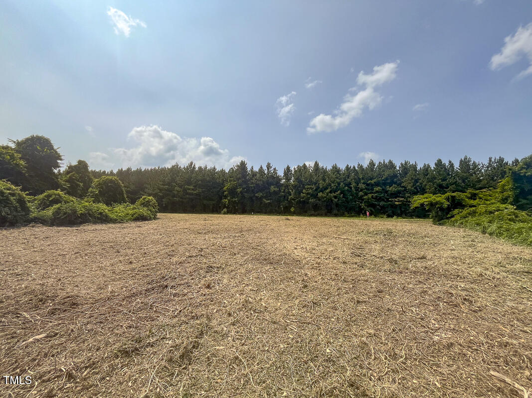 Lot 6 Goodman Road Pelham, NC 27311 - Photo 15 of 42 a view of outdoor space and yard