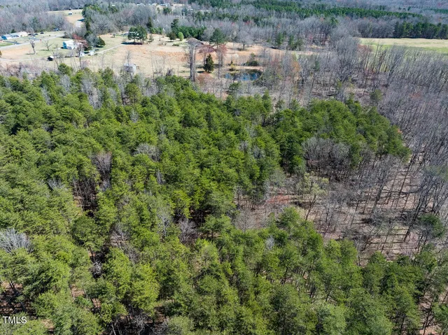 a view of open space with mountain in background