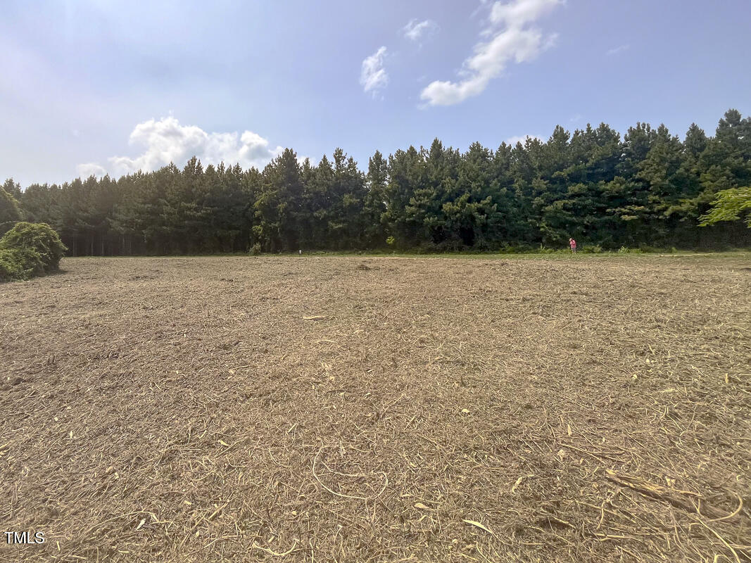 Lot 6 Goodman Road Pelham, NC 27311 - Photo 18 of 42 a view of open space with mountain in background