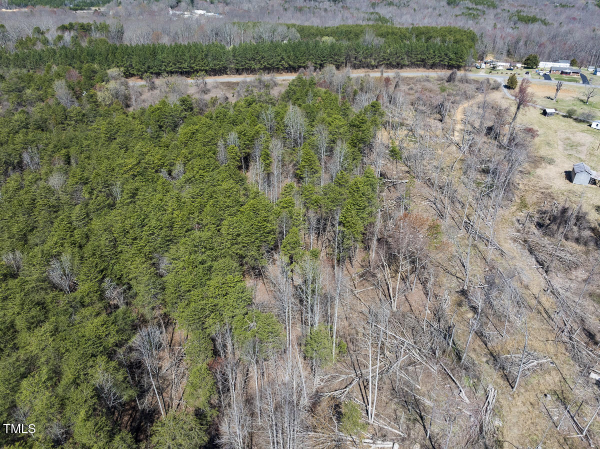 Lot 6 Goodman Road Pelham, NC 27311 - Photo 20 of 42 a view of a lake with a forest