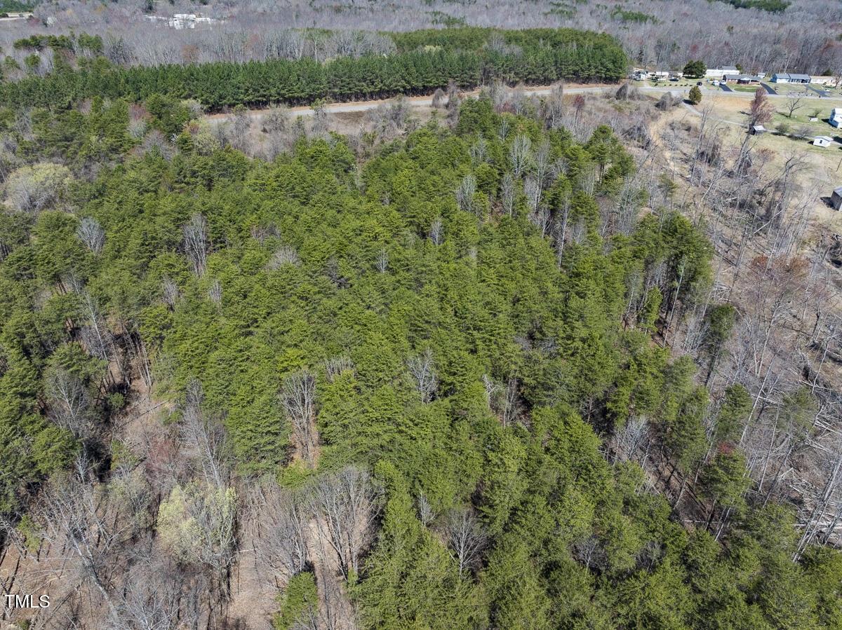 Lot 6 Goodman Road Pelham, NC 27311 - Photo 23 of 42 a view of a lake with a forest