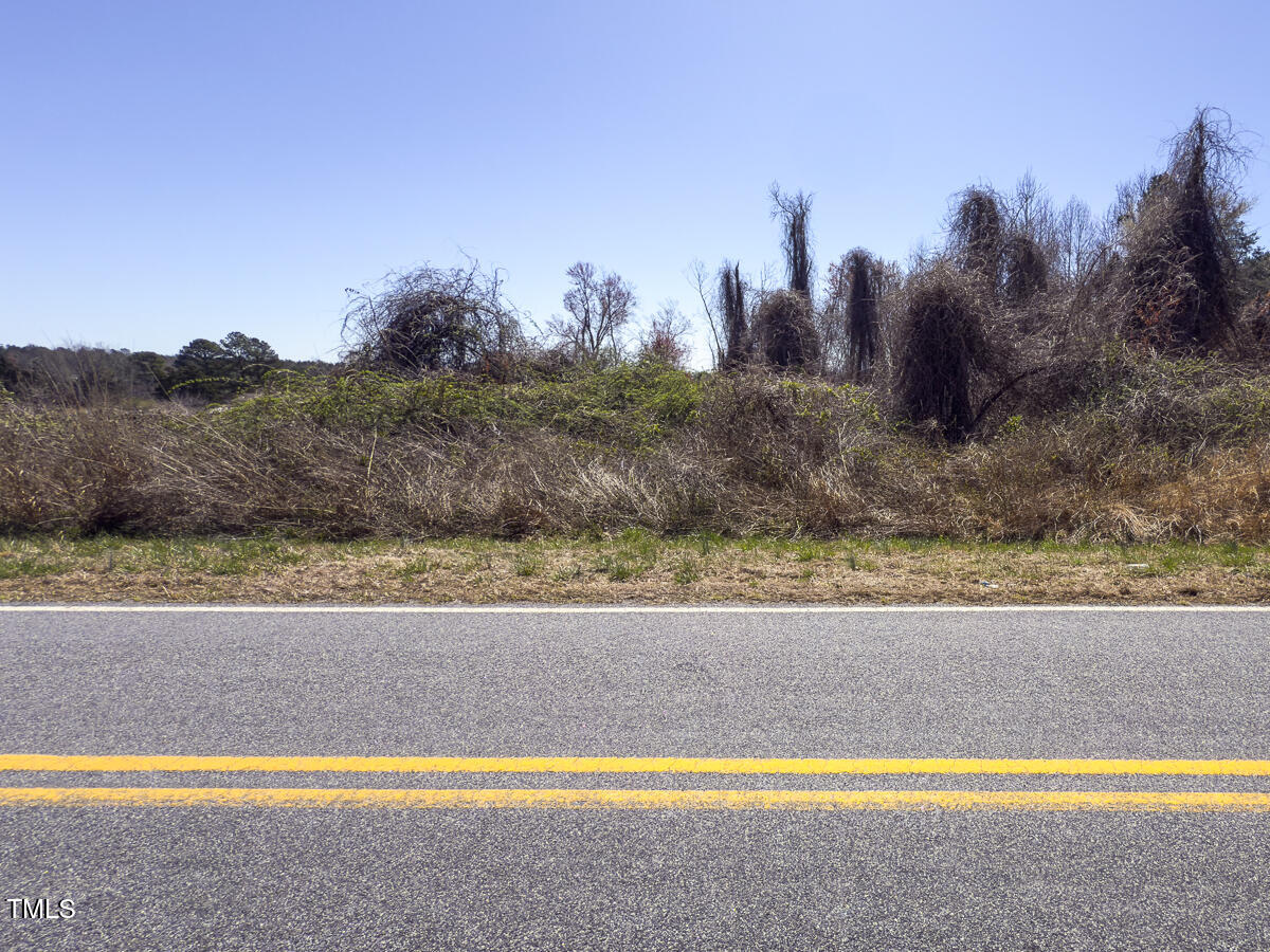 Lot 6 Goodman Road Pelham, NC 27311 - Photo 24 of 42 a view of a yard
