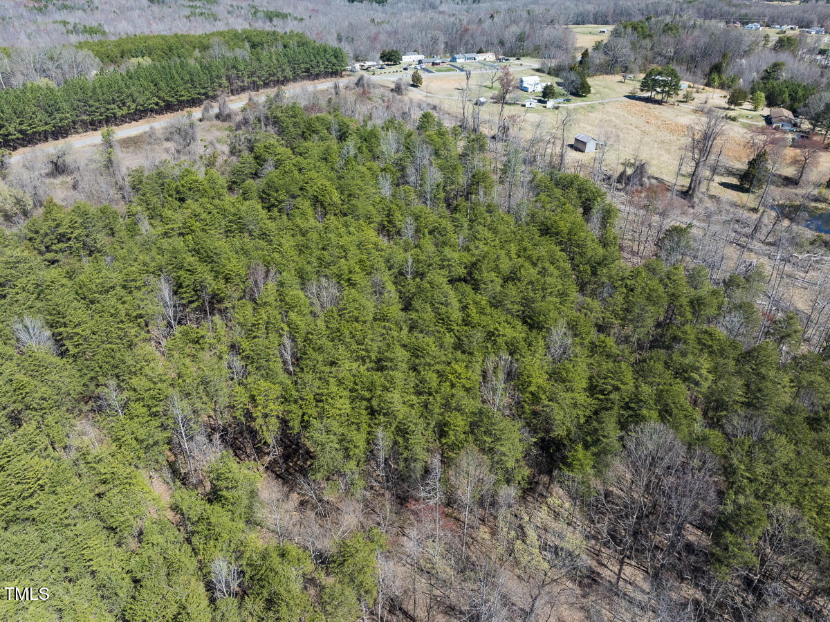 Lot 6 Goodman Road Pelham, NC 27311 - Photo 28 of 42 a view of a yard with a tree