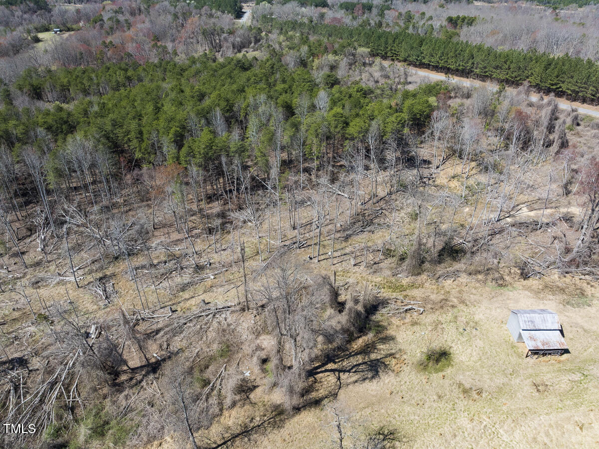 Lot 6 Goodman Road Pelham, NC 27311 - Photo 32 of 42 a view of a dry yard with trees and bushes