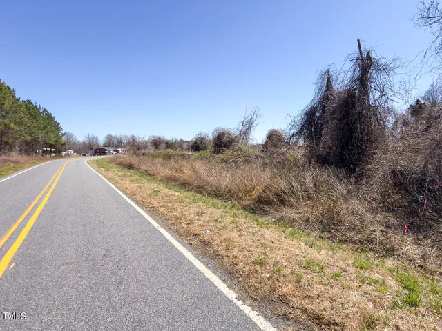 a view of a forest with trees