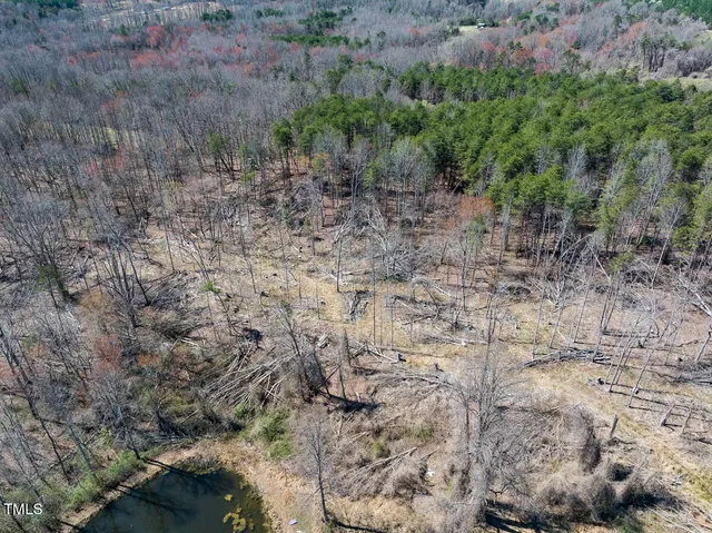 a view of a yard with lots of trees
