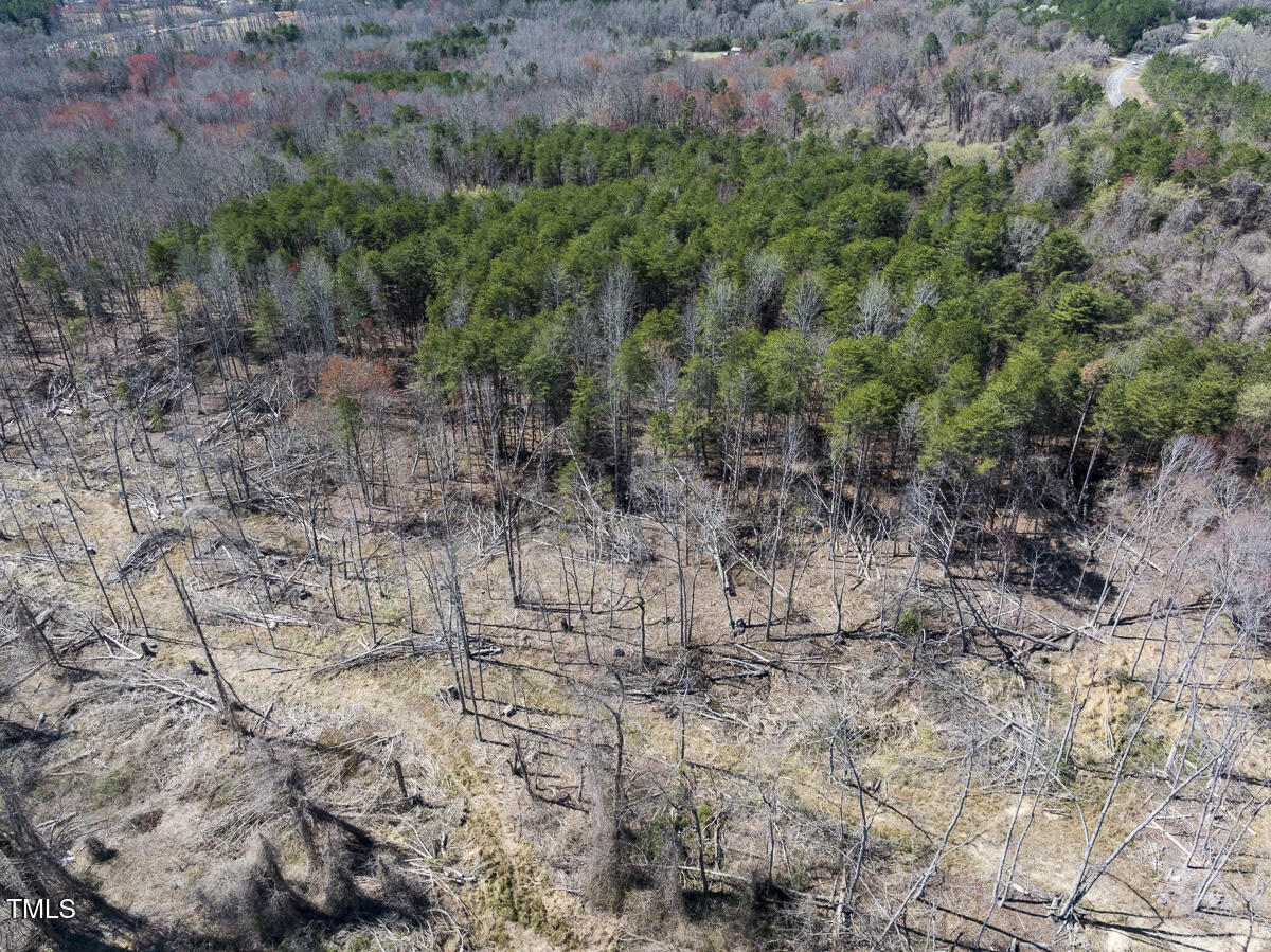 Lot 6 Goodman Road Pelham, NC 27311 - Photo 37 of 42 a view of a yard with lots of trees