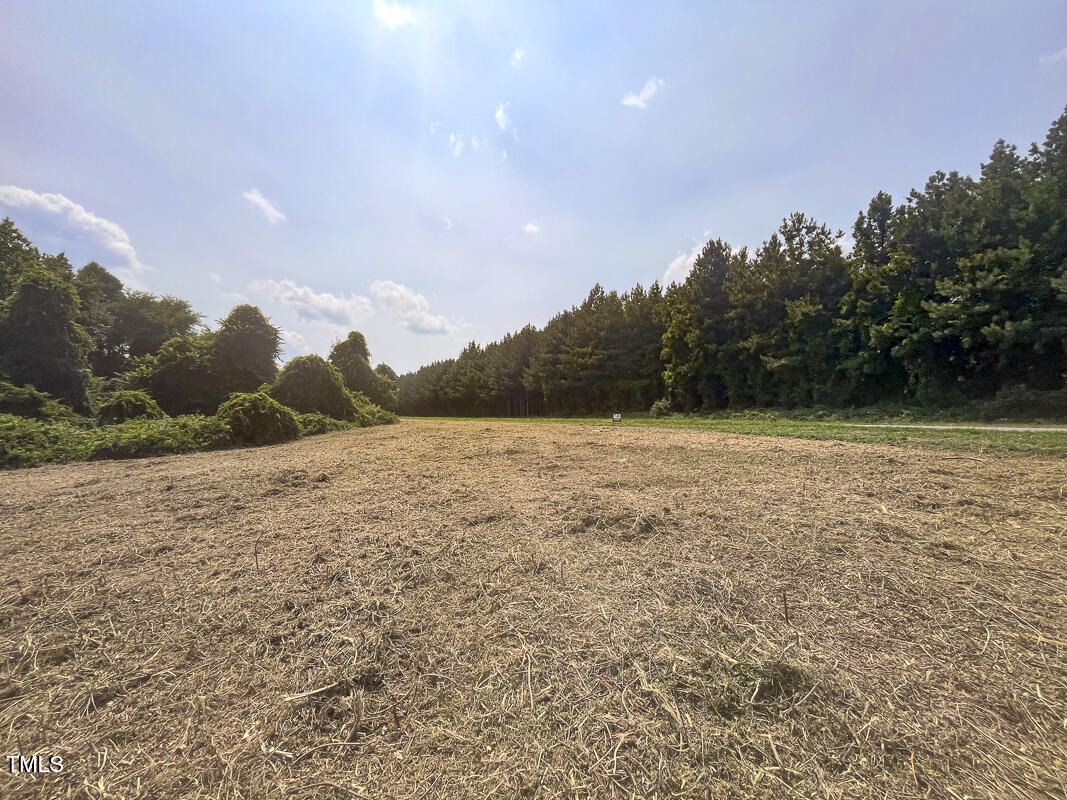 Lot 6 Goodman Road Pelham, NC 27311 - Photo 9 of 42 a view of a lake view