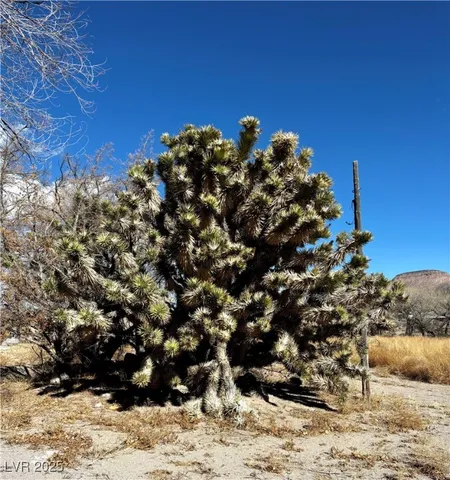 $1,770,000 | 2100 Buckhorn Road, Alamo, NV 89001