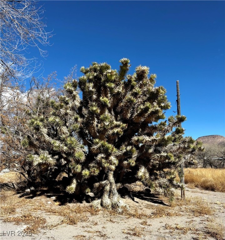 2100 Buckhorn Road Alamo, NV 89001 - Photo 38 of 40